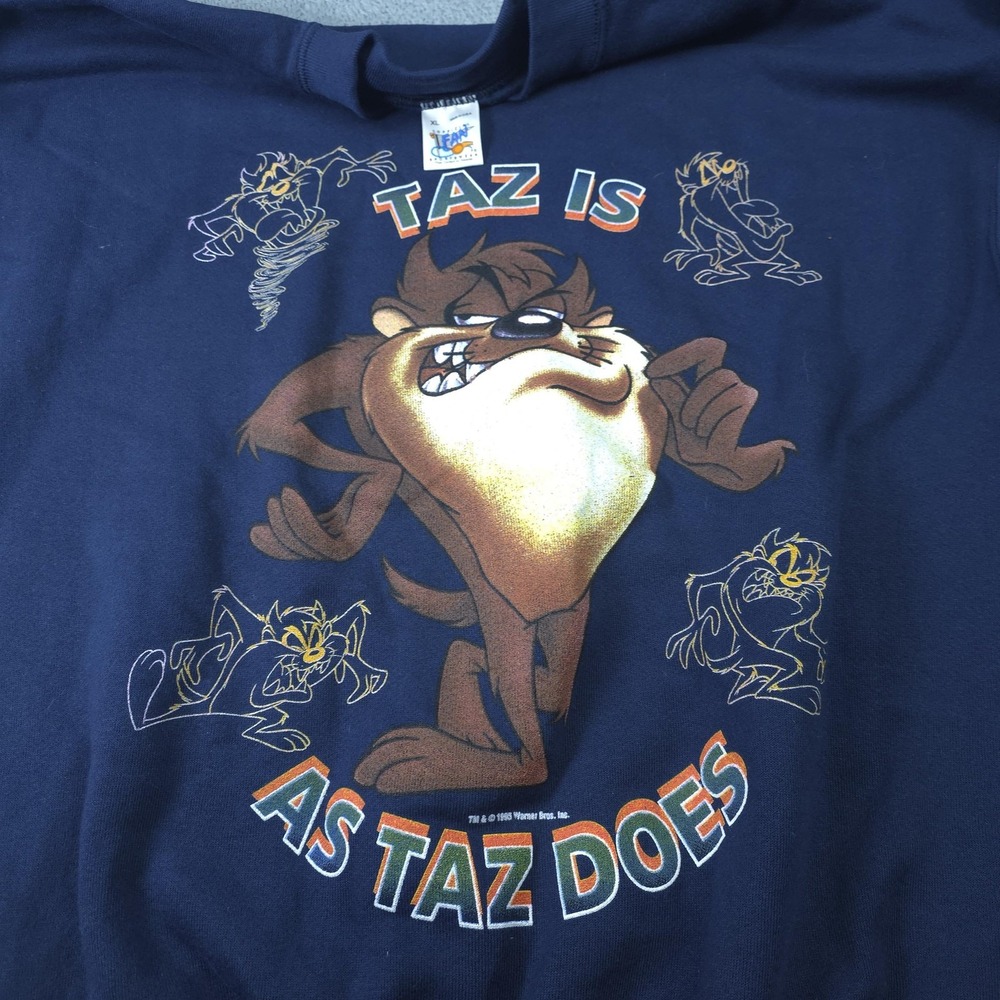 Vintage Official Fan Sportswear Sweatshirt Mens XL Blue Taz 1993 Graphic